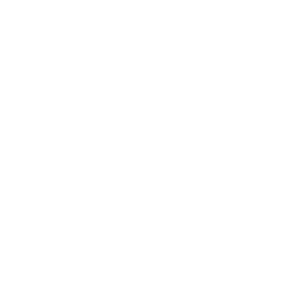 Asset 10